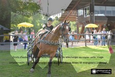 ref. photo 3267706
