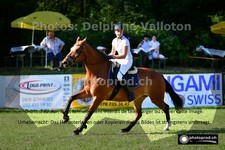 ref. photo 3267761