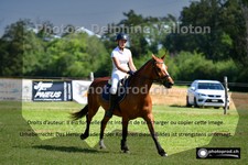 ref. photo 3267768