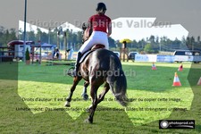 ref. photo 3268018