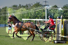 ref. photo 3268035