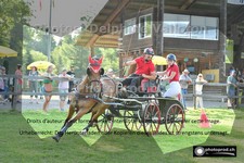 ref. photo 3268042