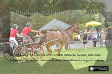 ref. photo 3268058