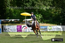 ref. photo 3268201