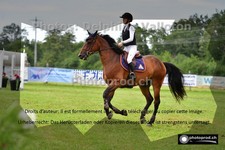 ref. photo 3268212