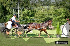 ref. photo 3268402