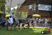 ref. photo 3268411