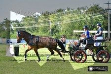 ref. photo 3268448