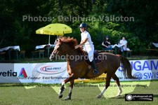 ref. photo 3268631