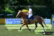 ref. photo 3268636