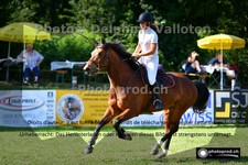ref. photo 3268654