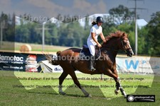 ref. photo 3268661