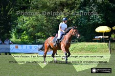 ref. photo 3268676