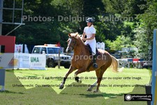 ref. photo 3268694