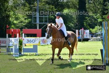 ref. photo 3268701