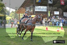 ref. photo 3268796