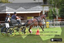 ref. photo 3268807
