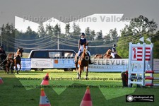 ref. photo 3268810