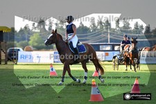 ref. photo 3268811