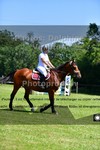 ref. photo 3268869