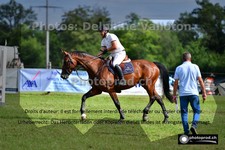 ref. photo 3268907