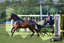 ref. photo 3269007