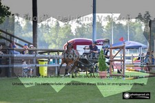 ref. photo 3269013