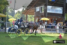 ref. photo 3269034
