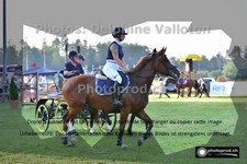 ref. photo 3269042