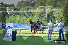 ref. photo 3269056