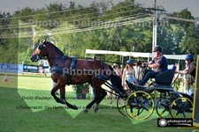 ref. photo 3269059