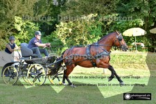ref. photo 3269078
