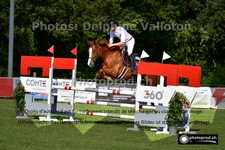 ref. photo 3269096