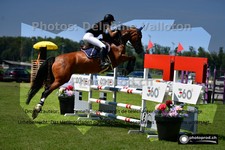 ref. photo 3269127