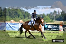 ref. photo 3269148