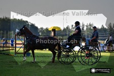 ref. photo 3269617