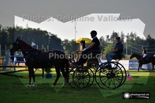 ref. photo 3269618
