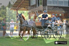ref. photo 3269622