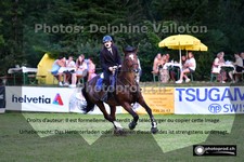 ref. photo 3269713