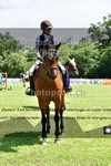 ref. photo 3269901