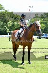 ref. photo 3269904