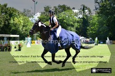 ref. photo 3269928