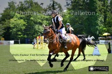ref. photo 3269929