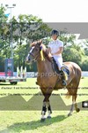 ref. photo 3269949