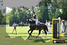 ref. photo 3270002