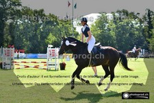 ref. photo 3270003