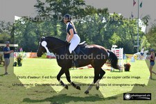 ref. photo 3270005