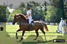 ref. photo 3270012