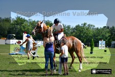 ref. photo 3270015