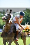 ref. photo 3270039
